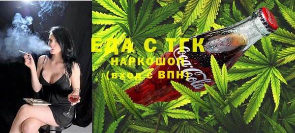 индика Ельня