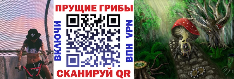 Псилоцибиновые грибы Cubensis Нижняя Салда