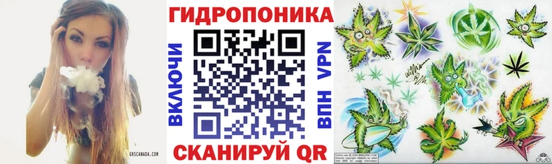 закладка  Нижняя Салда  Канабис индика 